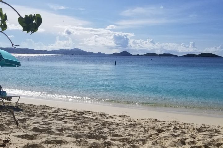 a group of people on a beach