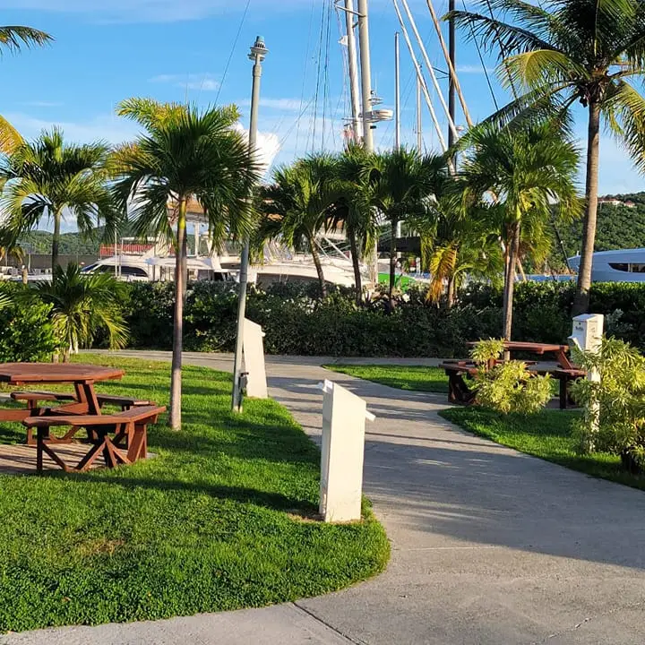 a bench in front of a palm tree